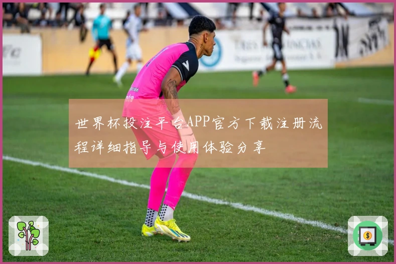 世界杯投注平台APP官方下载注册流程详细指导与使用体验分享