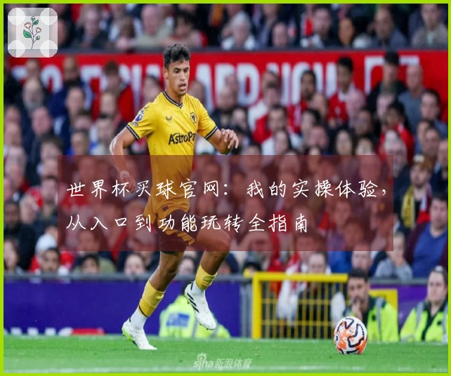 世界杯买球官网：我的实操体验，从入口到功能玩转全指南