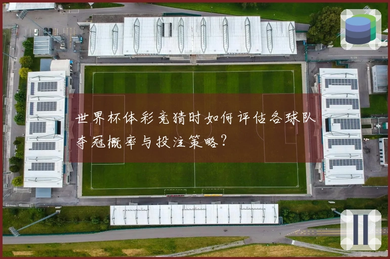 世界杯体彩竞猜时如何评估各球队夺冠概率与投注策略？