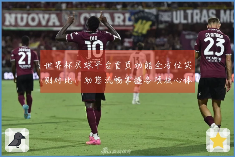 世界杯买球平台首页功能全方位实测对比，助您流畅掌握各项核心体验
