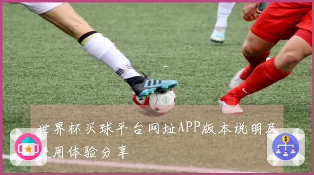世界杯买球平台网址APP版本说明及使用体验分享