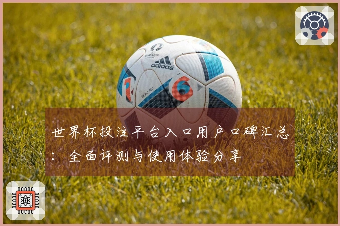 世界杯投注平台入口用户口碑汇总：全面评测与使用体验分享
