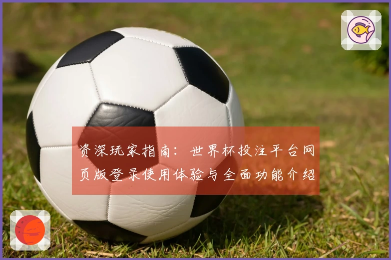 资深玩家指南：世界杯投注平台网页版登录使用体验与全面功能介绍