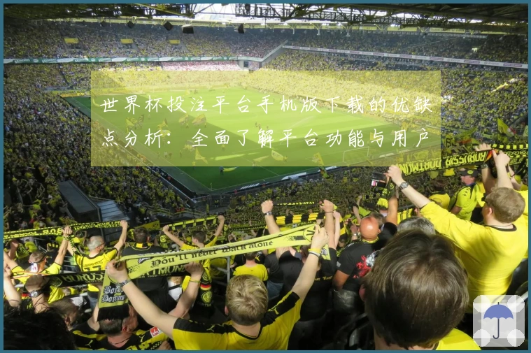 世界杯投注平台手机版下载的优缺点分析：全面了解平台功能与用户体验