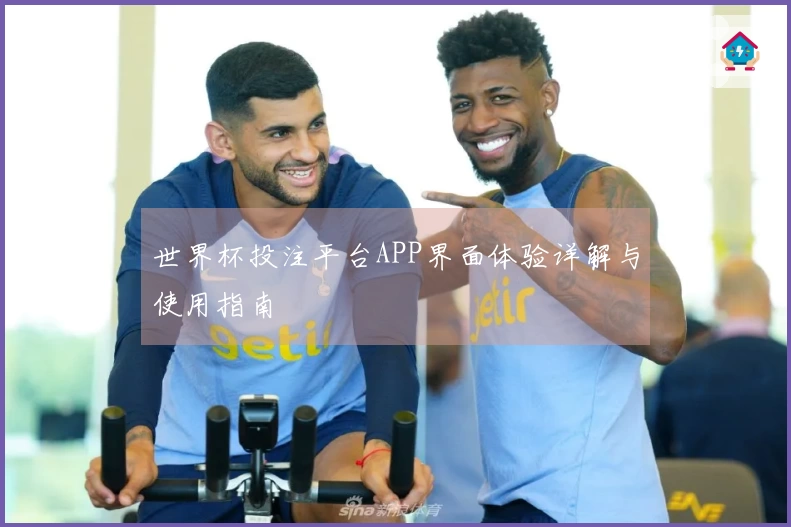 世界杯投注平台APP界面体验详解与使用指南