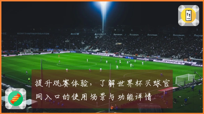 提升观赛体验，了解世界杯买球官网入口的使用场景与功能详情