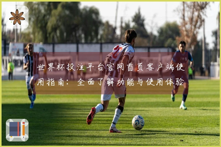 世界杯投注平台官网首页客户端使用指南：全面了解功能与使用体验