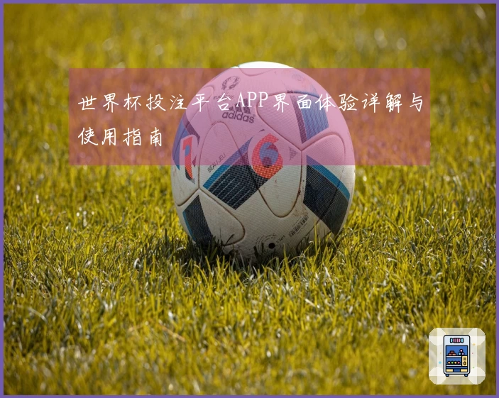 世界杯投注平台APP界面体验详解与使用指南