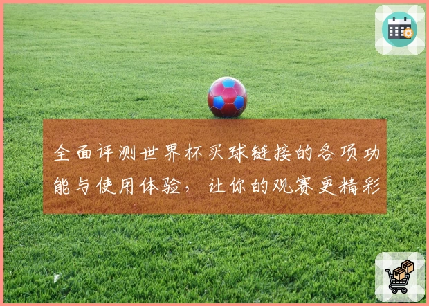 全面评测世界杯买球链接的各项功能与使用体验，让你的观赛更精彩