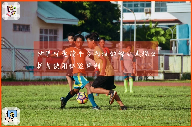 世界杯竞猜平台网址的综合表现分析与使用体验评测