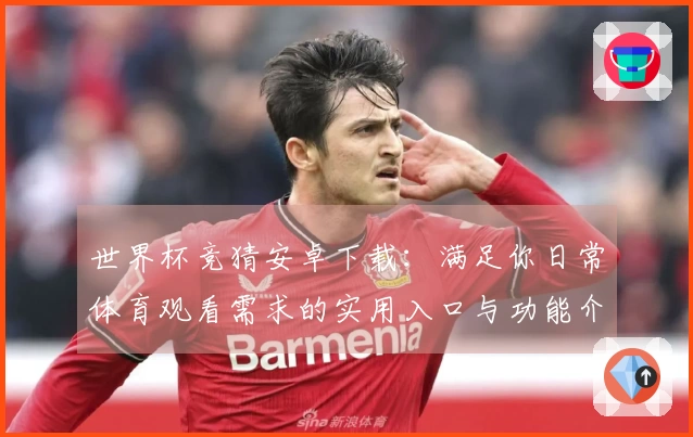 世界杯竞猜安卓下载：满足你日常体育观看需求的实用入口与功能介绍