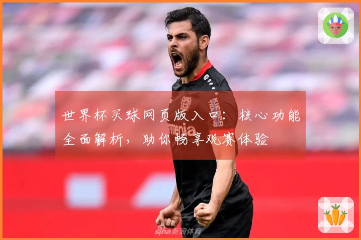 世界杯买球网页版入口：核心功能全面解析，助你畅享观赛体验