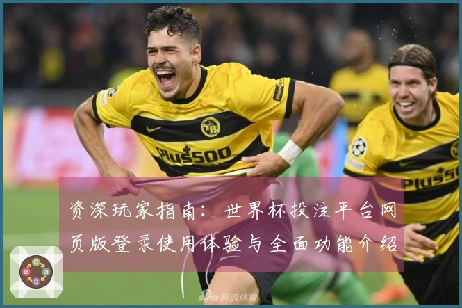 资深玩家指南：世界杯投注平台网页版登录使用体验与全面功能介绍