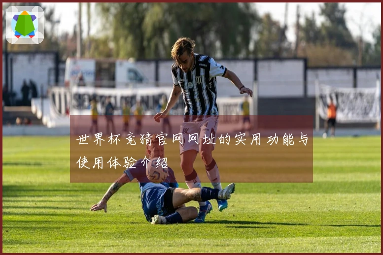 世界杯竞猜官网网址的实用功能与使用体验介绍