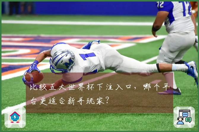 比较五大世界杯下注入口，哪个平台更适合新手玩家？