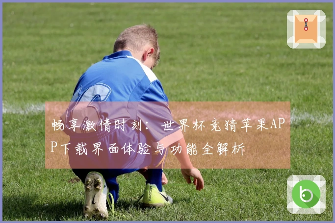 畅享激情时刻：世界杯竞猜苹果APP下载界面体验与功能全解析