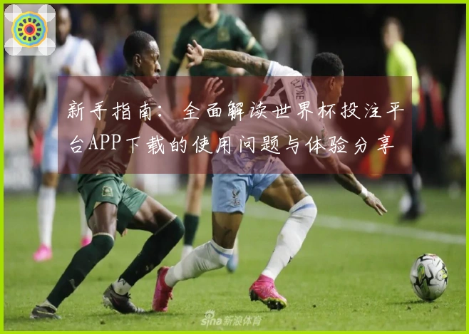 新手指南：全面解读世界杯投注平台APP下载的使用问题与体验分享
